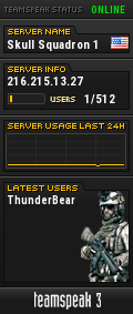 Skull Squadron 1 TeamSpeak Viewer