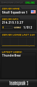 =Skull Squadron= 1 TeamSpeak Server